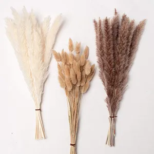 P-02 Wholesale Boho Wedding Decor Large Plume Dry Pampas Grass Flower Decor Natural Real Preserved Dried Pampas Grass For Amazon