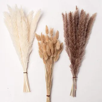 P-02 Wholesale Boho Wedding Decor Large Plume Dry Pampas Grass Flower Decor Natural Real Preserved Dried Pampas Grass For Amazon