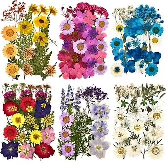 Mini Potpourri Petals Frame Pressed Preserved Dry Natural Plants Dried Flower For Nails Candles Resin Epoxy Molds Pendant
