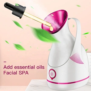 Steam Hair Warm Professional Home Use Skin Moisturizing 3 In 1 Mist Commercial Face Humidifier 2020 Nano Ionic Facial Steamer