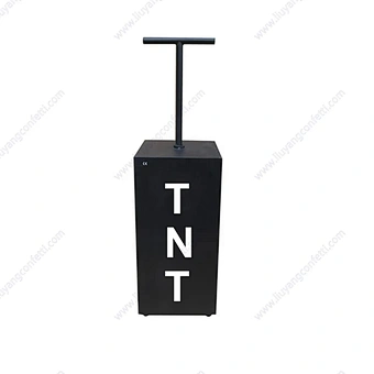 Electronic Remote Control Outdoor Fireworks for Weddings Parties Graduations Baby Showers-Gender Reveal Decorations