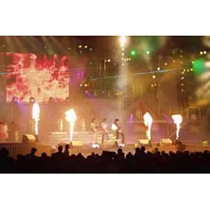 Stage effect Direct or DMX512 control flame projector for stage concept sports