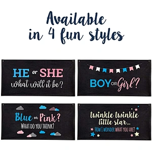 Girl Boy Deco Decoration Set Games Gift Favors Party He Or She What Will It Be Baby Shower Gender Reveal Balloon Drop Bag
