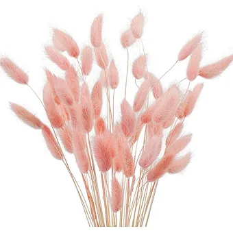 Custom Amazon Packaging Pink White Beige Dry Pampas Grass Large Fluffy Natural Wedding Decor Preserved Dried Flower Pampas Grass