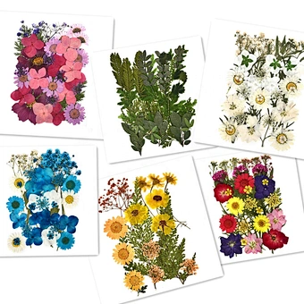 Mini Potpourri Petals Frame Pressed Preserved Dry Natural Plants Dried Flower For Nails Candles Resin Epoxy Molds Pendant