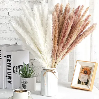 Custom Amazon Packaging Pink White Beige Dry Pampas Grass Large Fluffy Natural Wedding Decor Preserved Dried Flower Pampas Grass