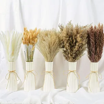 P-02 Wholesale Boho Wedding Decor Large Plume Dry Pampas Grass Flower Decor Natural Real Preserved Dried Pampas Grass For Amazon