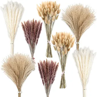 P-02 Wholesale Boho Wedding Decor Large Plume Dry Pampas Grass Flower Decor Natural Real Preserved Dried Pampas Grass For Amazon