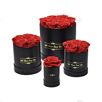 Real Natural Long Life Lasting Everlasting Immortal Forever Eternal Preserved Roses head flower in gift Box for valentines gift