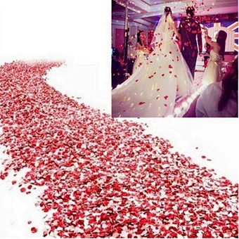 Biodegradable Paper Throwing Petals Love Heart Red Heart Foil Metallic Confetti heart for Party Decoration Wedding decoration