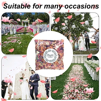 Dried Flower Petal Pop Biodegradable Wholesale Wedding Birthday Supplies Valentine Party Decoration Natural Rose Confetti