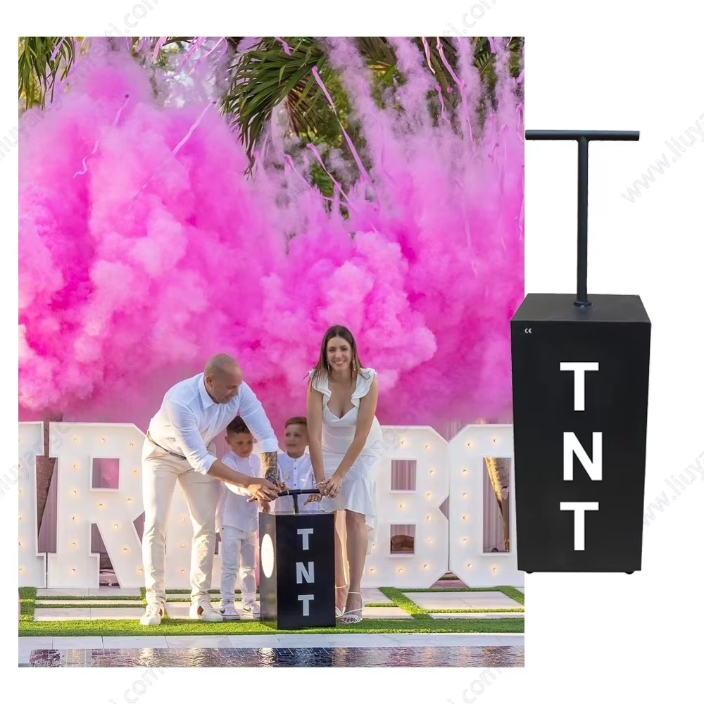 Electronic Remote Control Gender Reveal Outdoor Fireworks Wedding Party Graduation Baby Shower