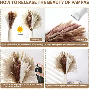 Pampas White Color Dried Natural Small Big Large Pampas Grass for Wedding Flower Arrangements Home Decor