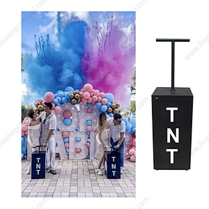 Electronic Remote Control Gender Reveal Outdoor Fireworks Wedding Party Graduation Baby Shower