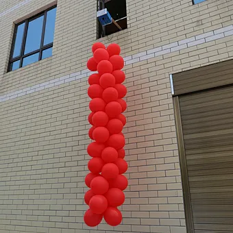 Reusable Remote Control New Balloon Firecracker for Weeding