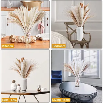 Pampas White Color Dried Natural Small Big Large Pampas Grass for Wedding Flower Arrangements Home Decor