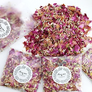 Dried Flower Petal Pop Biodegradable Wholesale Wedding Birthday Supplies Valentine Party Decoration Natural Rose Confetti