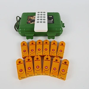 Professional 12-Cue Channels Fireworks Firing System New Products for Weddings Parties New Year Christmas-Cake Type