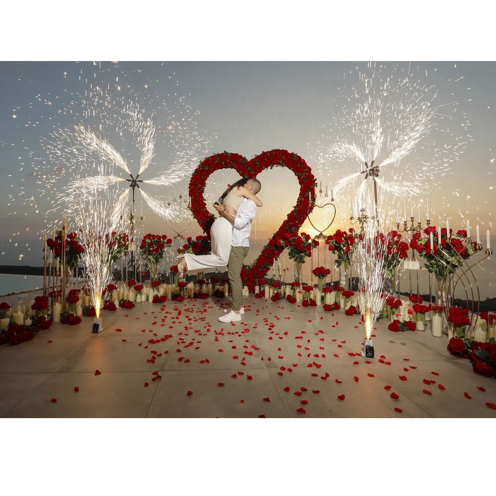 Heart Shape Silk Rose Valentine Day Proposal Marriage Runners Backdrop Wedding Birthday Decoration Artificial Wedding Flower Arc