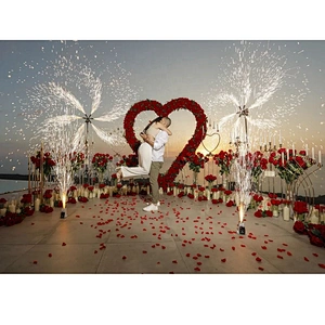 Heart Shape Silk Rose Valentine Day Proposal Marriage Runners Backdrop Wedding Birthday Decoration Artificial Wedding Flower Arc