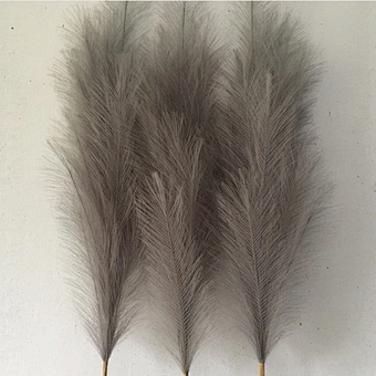 Artificial Decor Dried Faux Bouquet Natural Wall Pink White Small Large  Hot Feather Wedding Flowers Pampas Grass