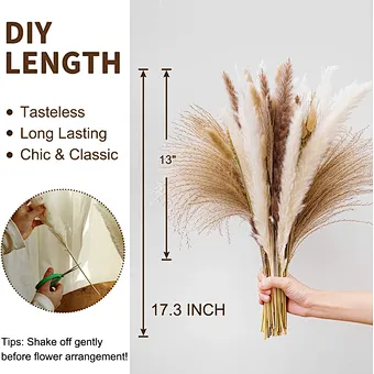 Tall Fluffy Small Beige Home Wedding Decor 45-120cm Natural Faux Artificial Dried Flowers Pampasgras Pampass Large Pampas Grass