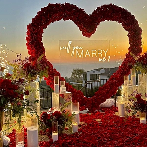 Heart Shape Silk Rose Valentine Day Proposal Marriage Runners Backdrop Wedding Birthday Decoration Artificial Wedding Flower Arc