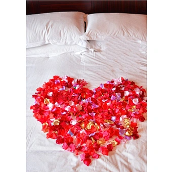 1000pcs Colorful Artificial Rose Petals Wedding Petalas Birthday Silk Flower Petal Accessories Wedding Romantic Rose Decor