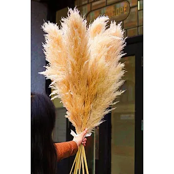 Tall Fluffy Small Beige Home Wedding Decor 45-120cm Natural Faux Artificial Dried Flowers Pampasgras Pampass Large Pampas Grass