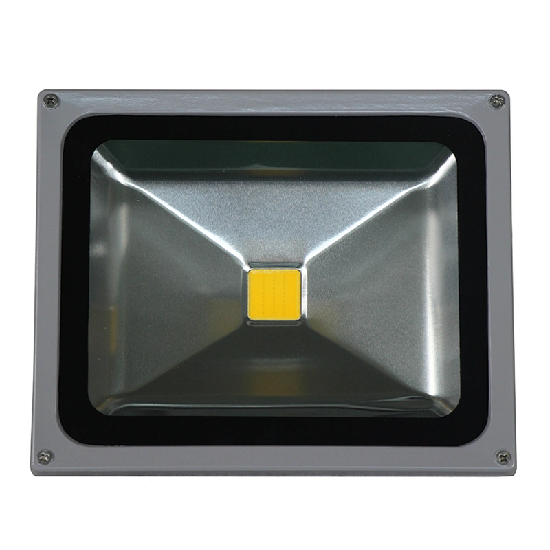 LED FLOOD LIGHT 30