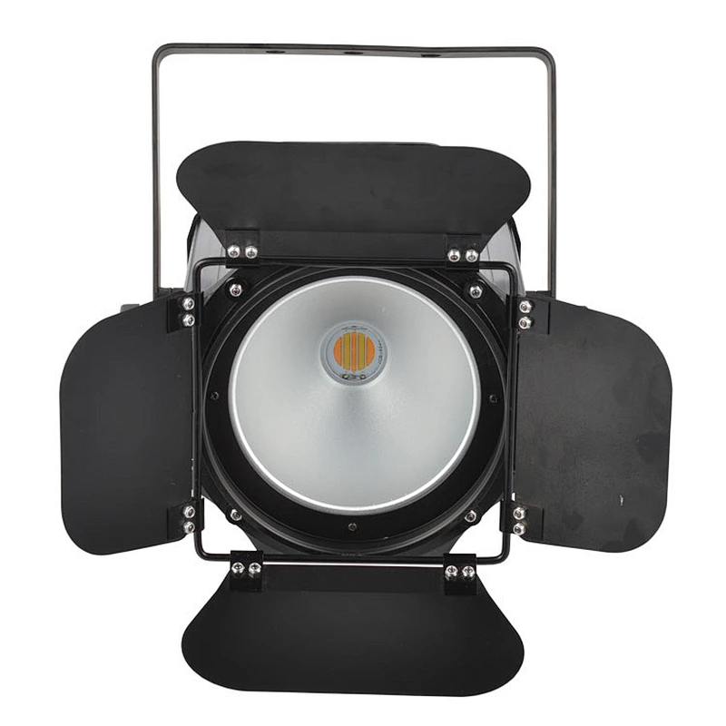 LED PAR COB 200