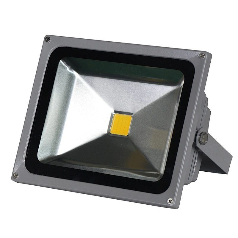 LED FLOOD LIGHT 30
