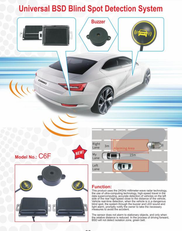 Blind spot detection system