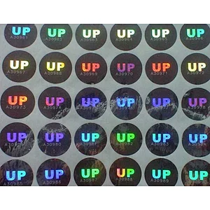 Manufacturing hologram laser number label