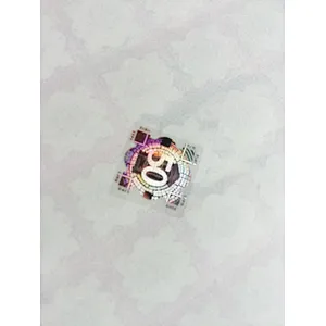 High quality anti-counterfeit 50 holographic tags