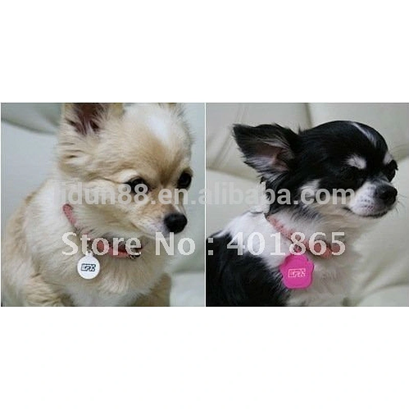 2012 Lovely healthy balance ion pet tags