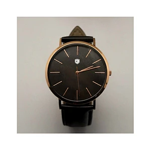 Mechanical watch  diver watch automatic