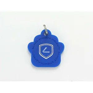 Energy silicone dog tag silicon key chain with holograms