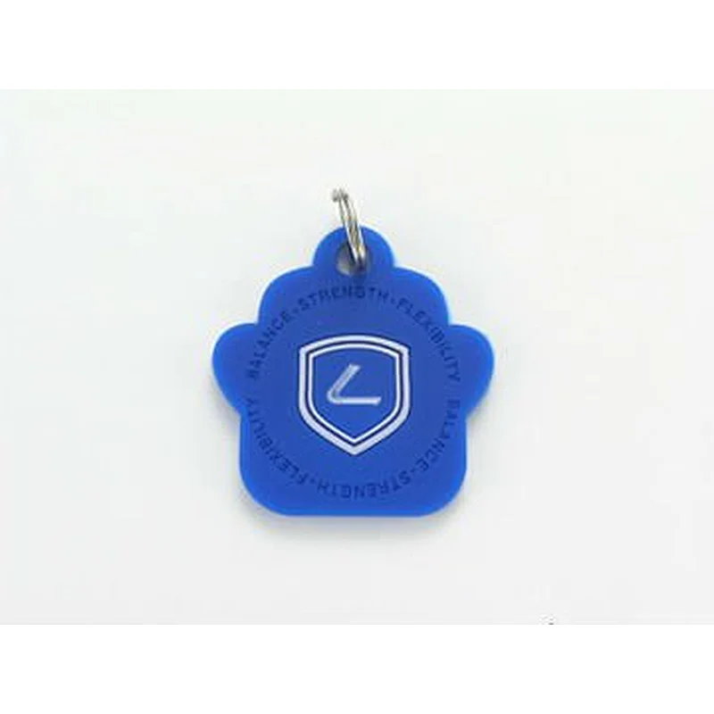 Energy silicone dog tag silicon key chain with holograms