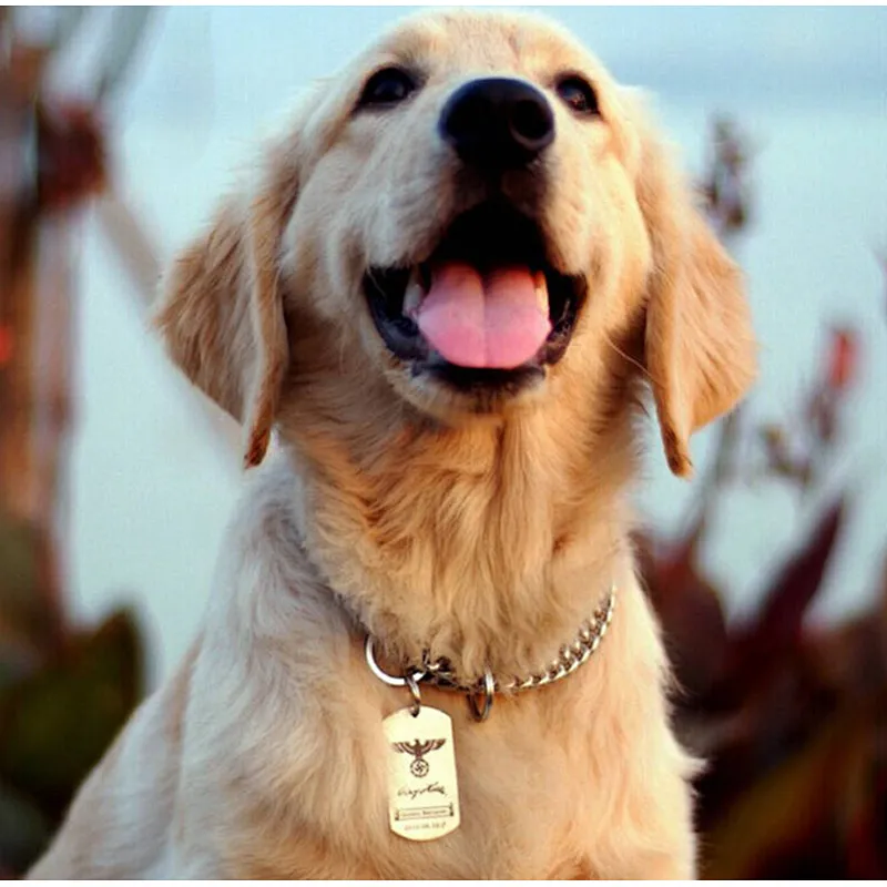 cool pet dog tags
