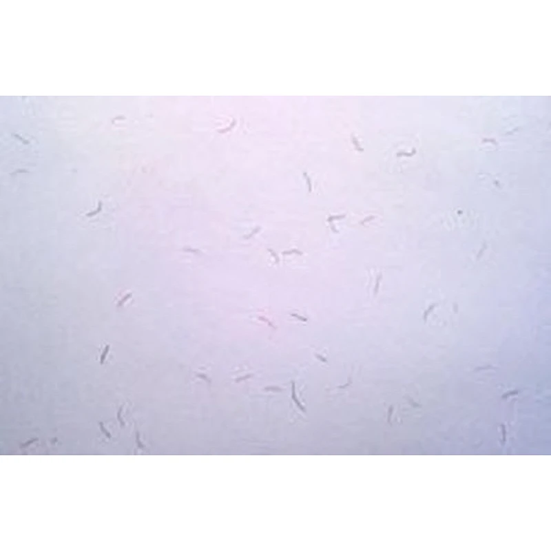 fiber paper, a4 paper 80 gsm,Anti-counterfeiting Security embossing watermark paper