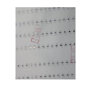 Ceres Invisible Watermark Ink For Offset /screen Printing Documents And Brochures With White And Black Colors