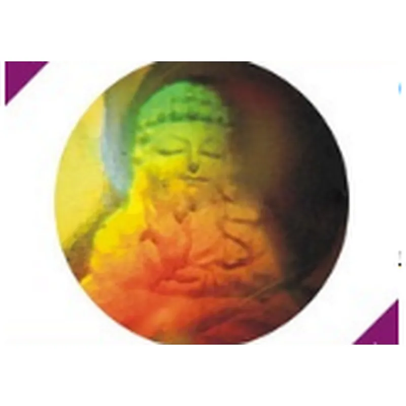 Hidden image encryption security hologram label