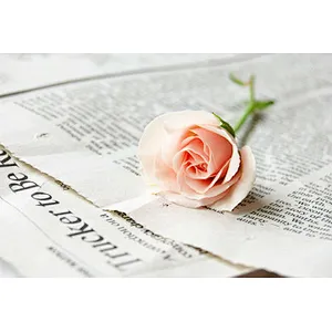 China provides the high quality low price 100% wood pulp newsprint