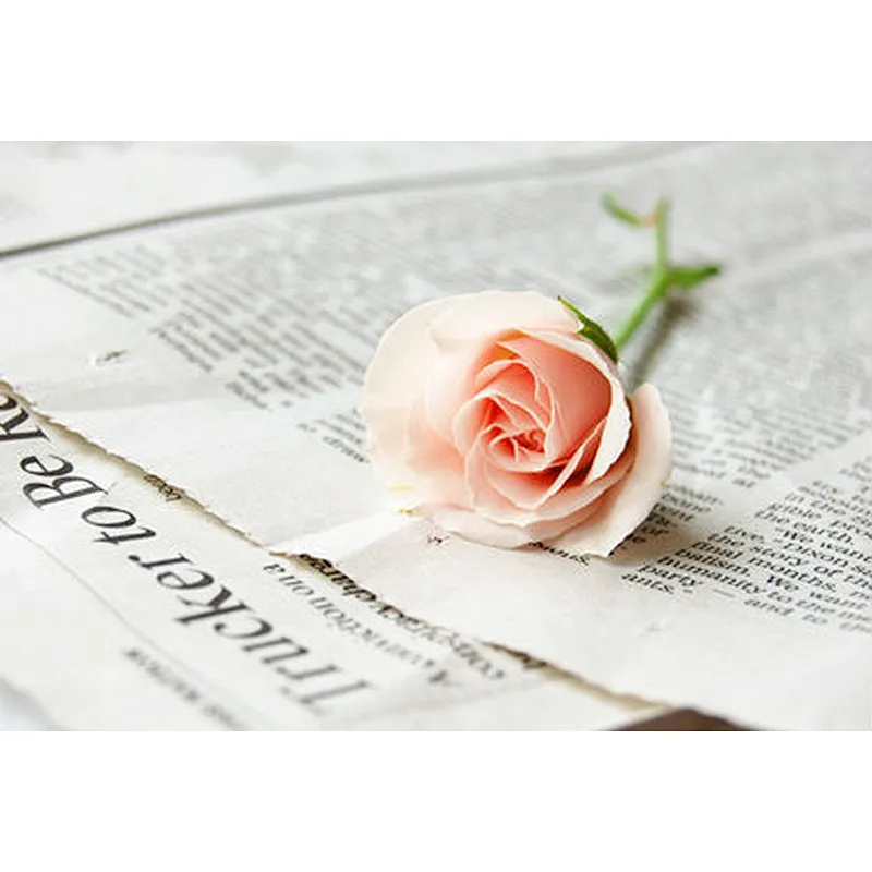 China provides the high quality low price 100% wood pulp newsprint