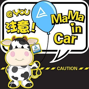 hot sale custom differrent color metal car emblem sticker