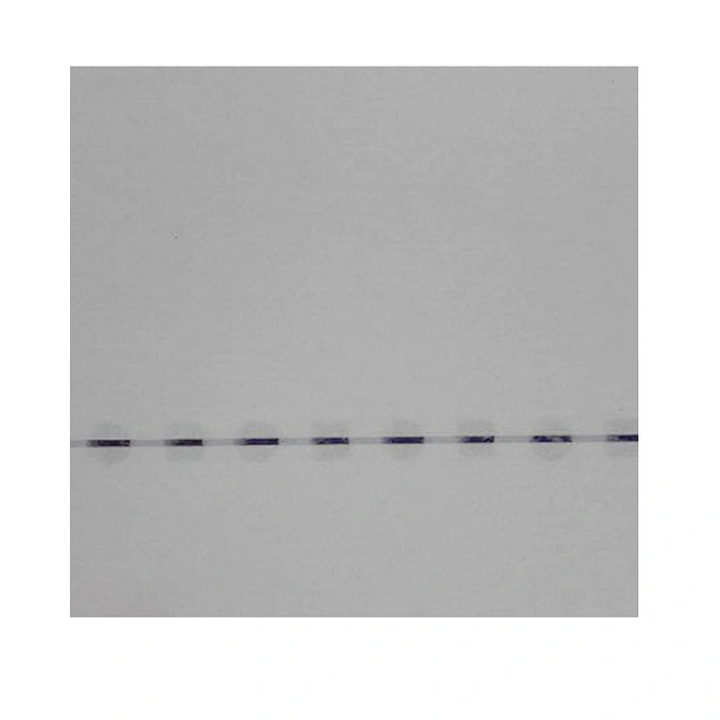 Reasonably priced premium security line security paper watermark paper ...