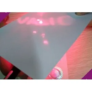 Hidden image encryption security hologram label
