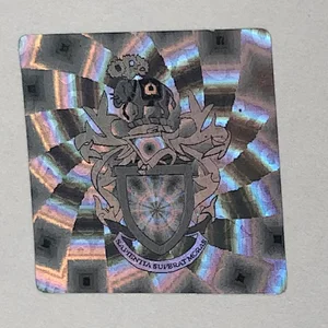 Custom self adhesive hologram sticker hologram label