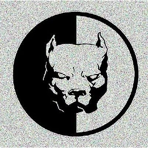 Custom car sticker, car body sticker, vinyl sticker for car